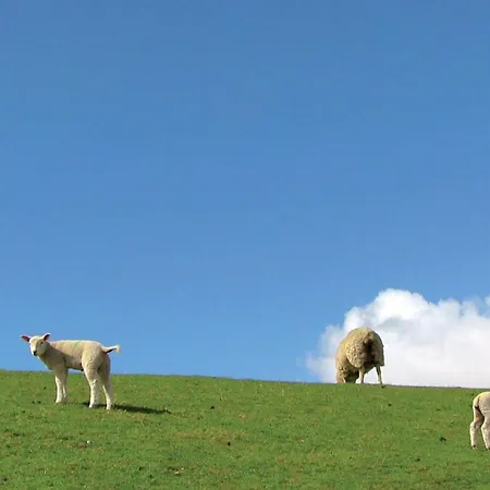 Amazing In With Sauna Dagebüll